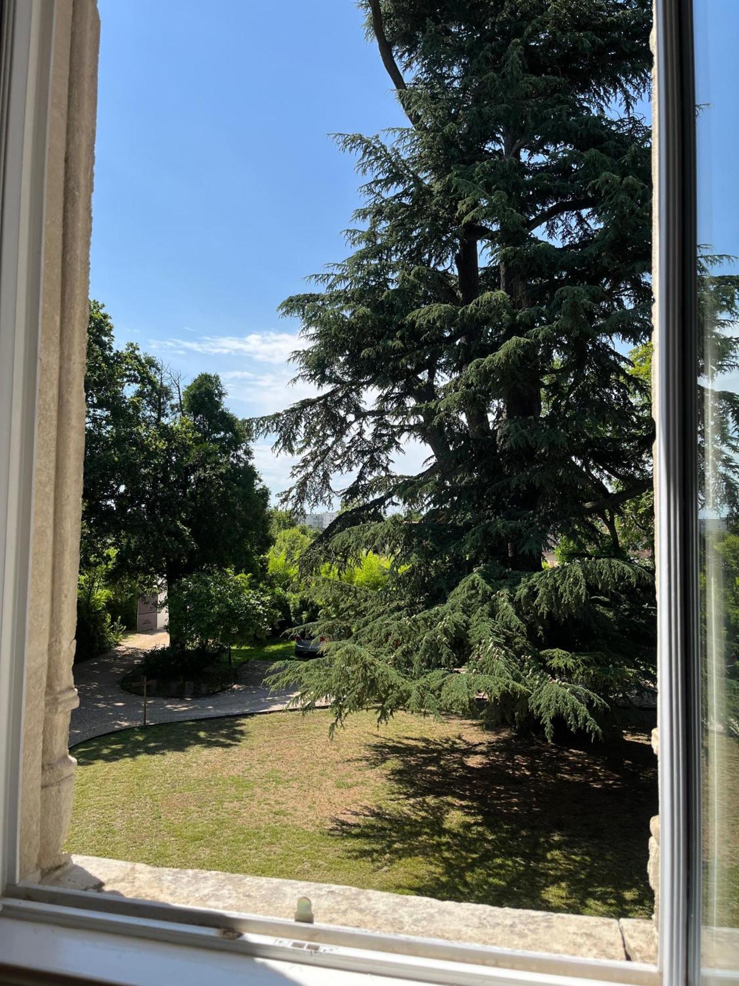 Le Clos Du Cedre Saint-Ouen  Exterior foto